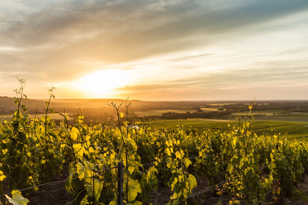 Vigneron Independant: independent of whom? Independent of what?