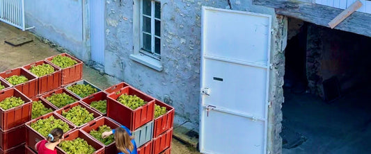 Un champagne de vigneron indépendant, distribué sur quatre continents