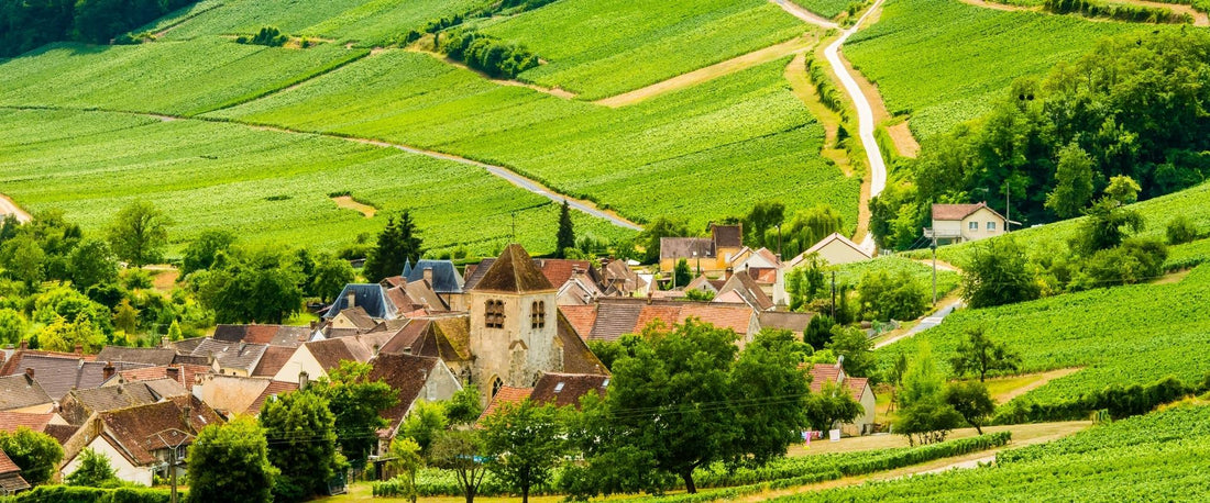 La Champagne classée à l'Unesco : ce que ça change pour ceux qui veulent la découvrir