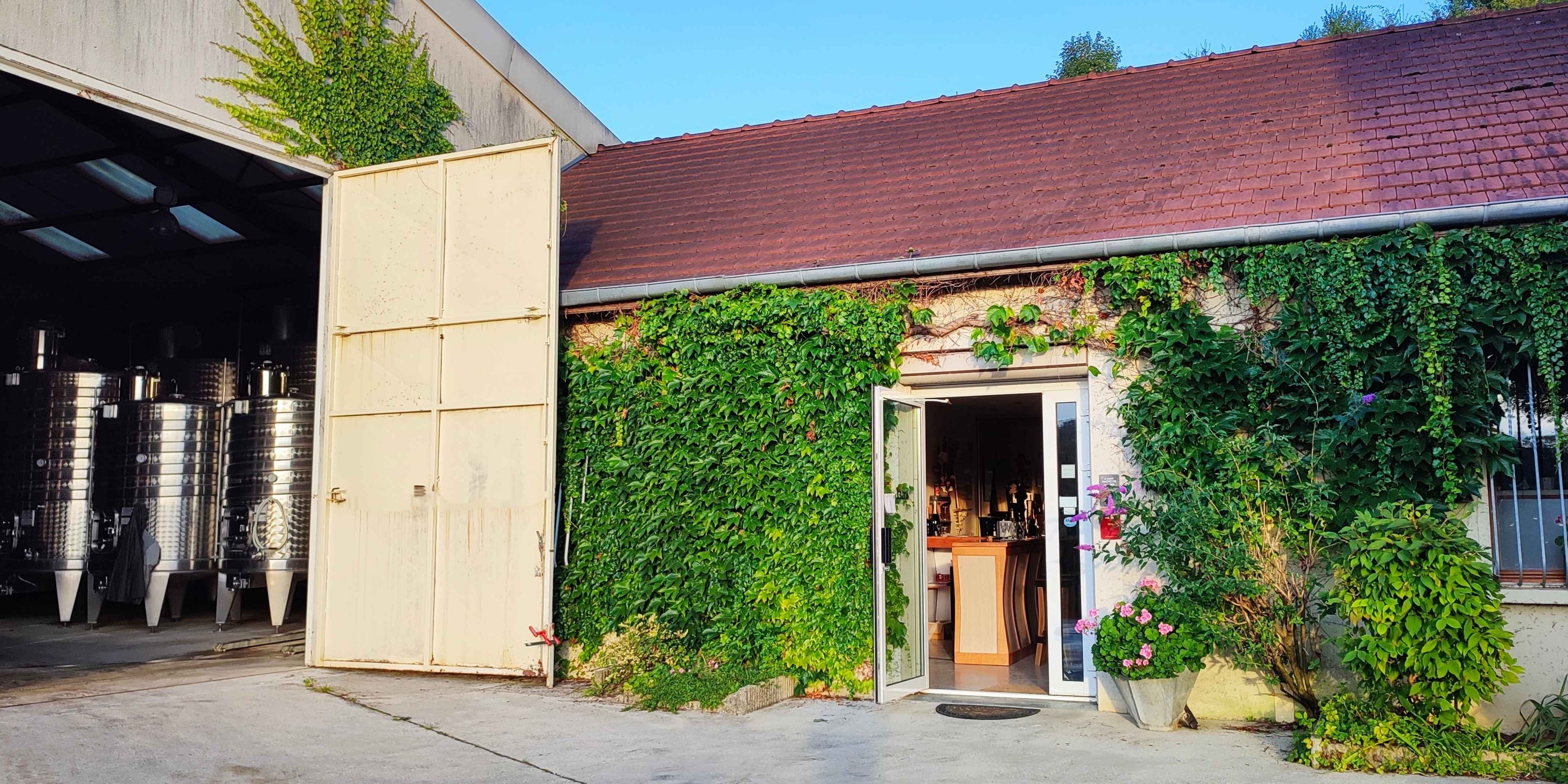 Un nouvel habillage pour le champagne Mercier Un nouvel habillage pour le champagne Mercier